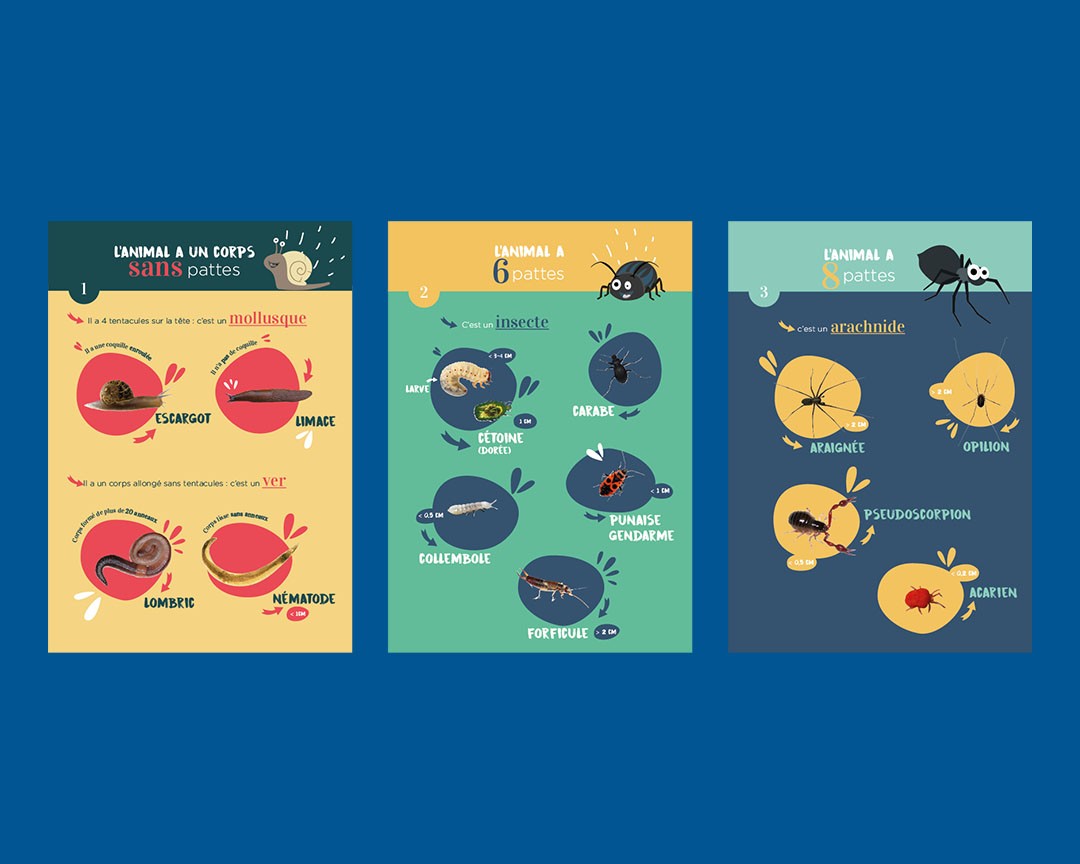 Illustration éducative animaux Sydom du Jura