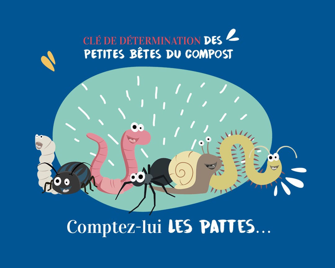 Illustration éducative compost Sydom du Jura